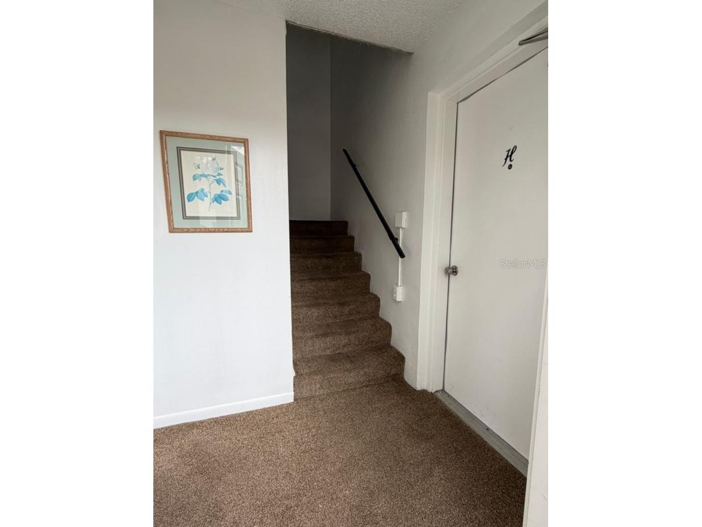 2419 SE 16th Avenue #H Ocala FL 34471 OM721194 image7