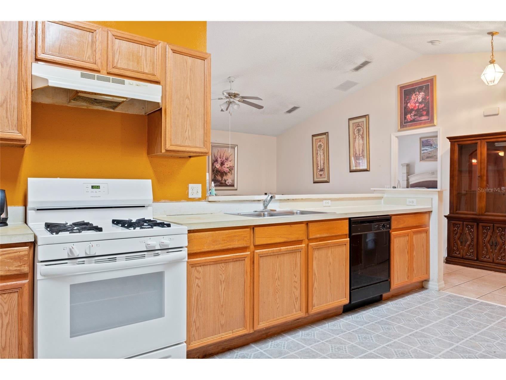2419 Willow Tree Lane Kissimmee FL 34758 S5145985 image4