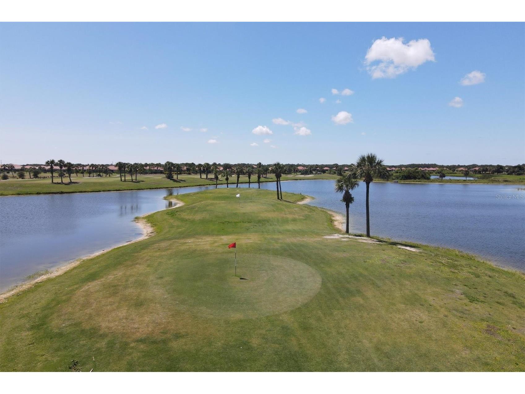 24193 Spartina Drive Venice FL 34293 N6143008 image100