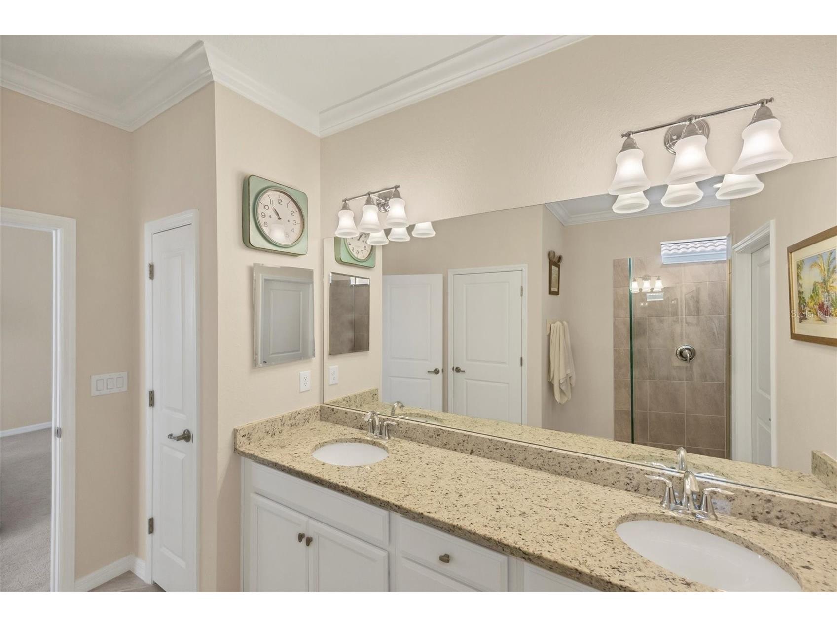 24193 Spartina Drive Venice FL 34293 N6143008 image49
