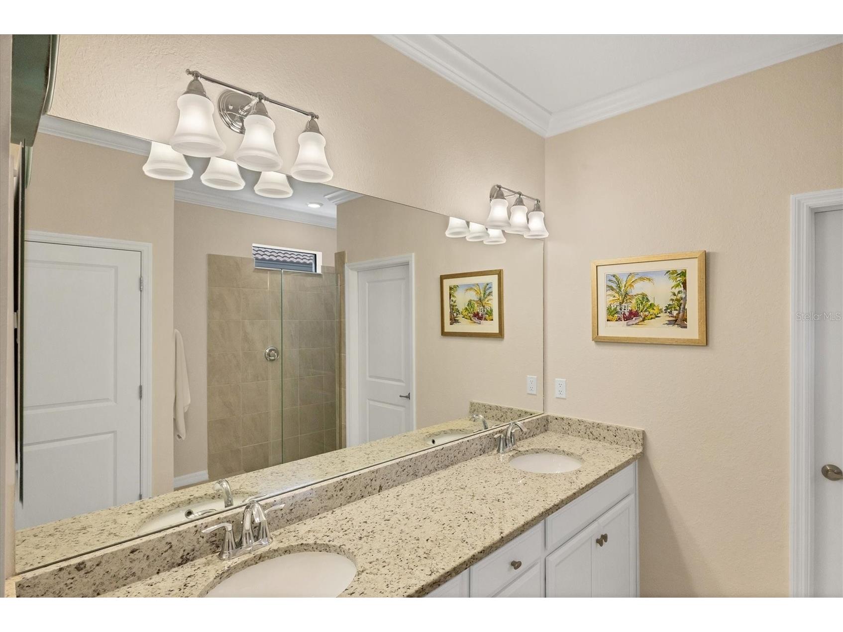 24193 Spartina Drive Venice FL 34293 N6143008 image50