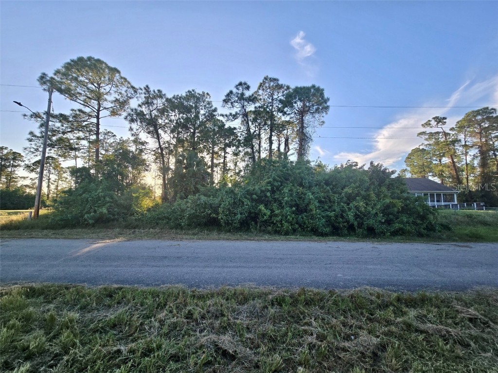 242 Callaway Ave S Lehigh Acres FL 33974 GC525886 image1