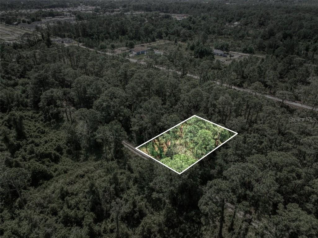 242 Condor Avenue Sebring FL 33870 O6301223 image3