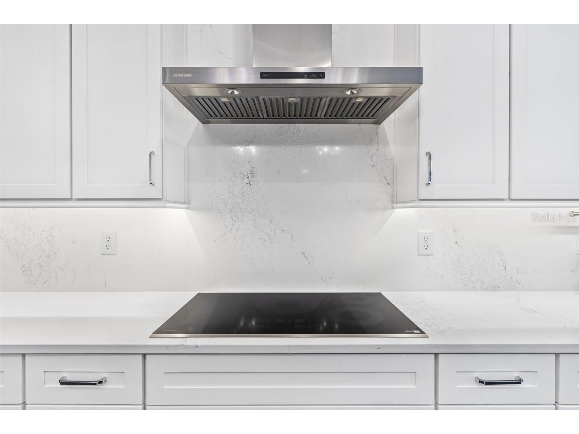 242 Estado Way NE Saint Petersburg FL 33704 TB8348460 image33