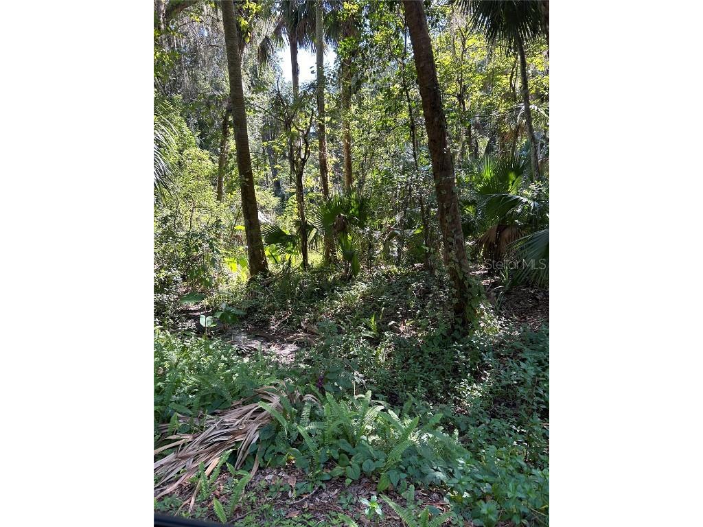 242 Fraser Road Debary FL 32713 V4932456 image1