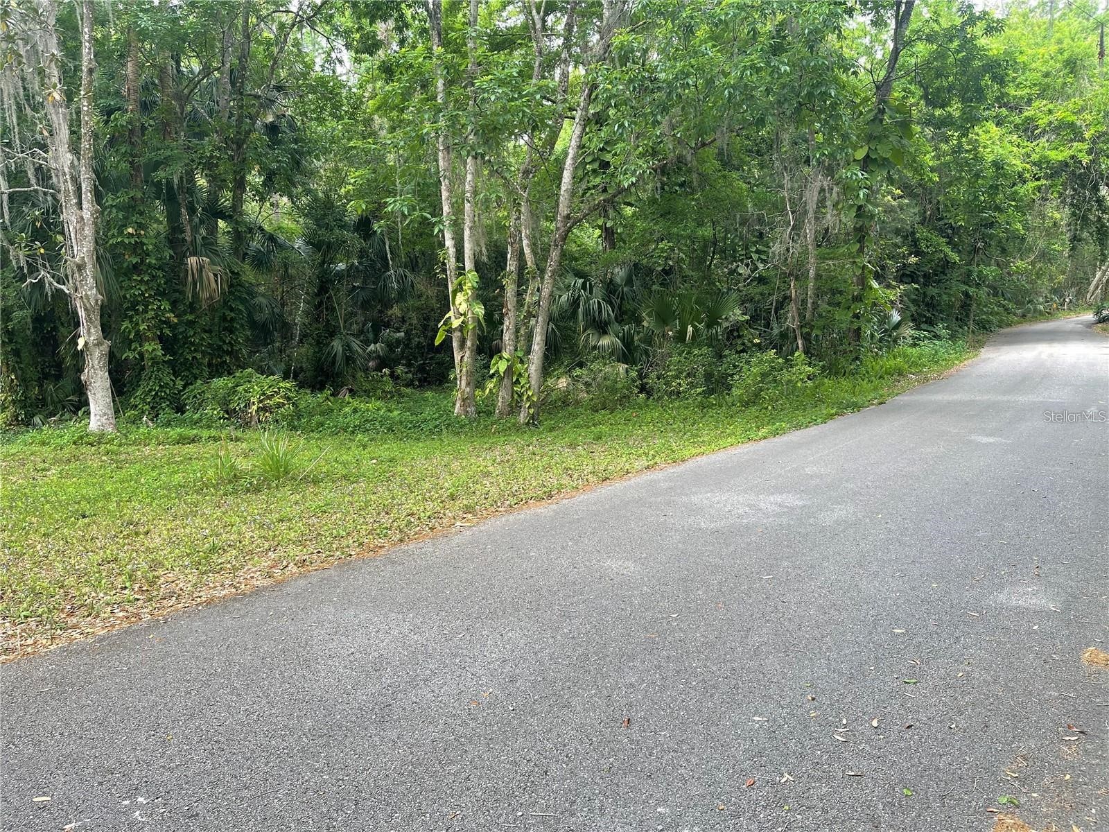 242 Fraser Road Debary FL 32713 O6383547 image2