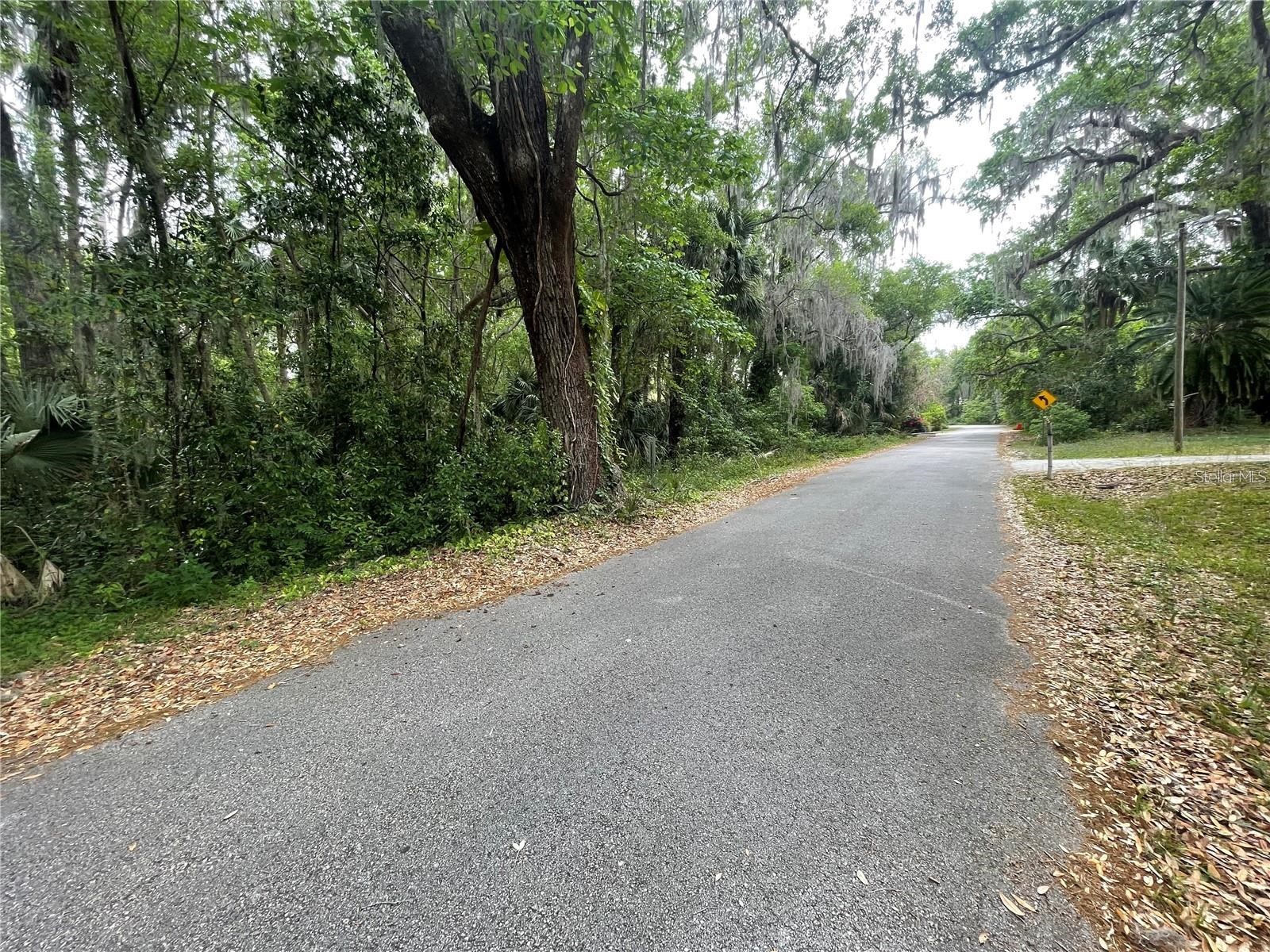 242 Fraser Road Debary FL 32713 O6383547 image6