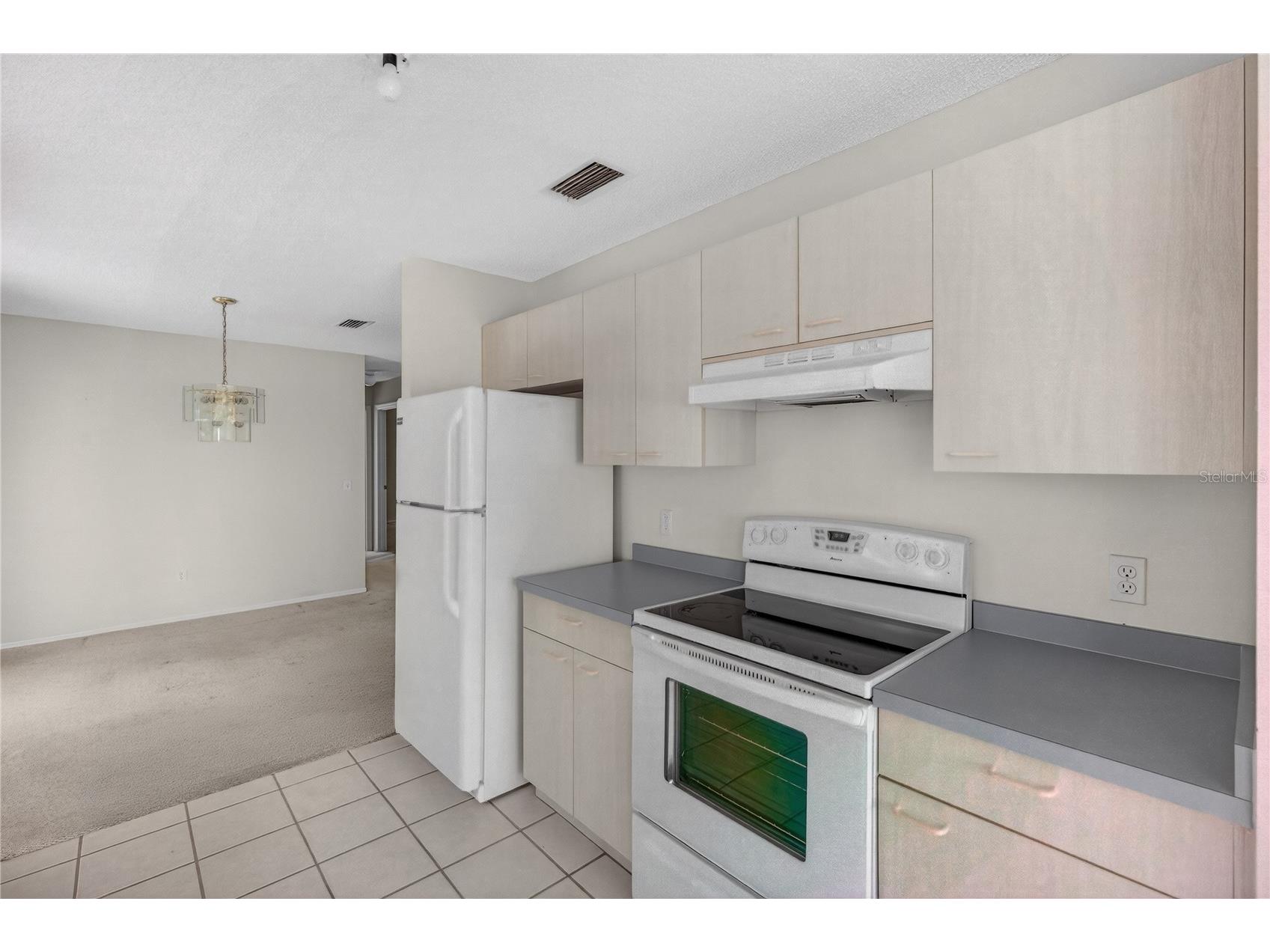 242 Juarez Way Lady Lake FL 32159 G5106248 image13