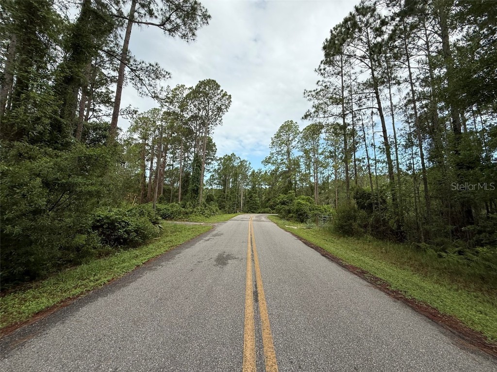 242 Lakeway Drive Georgetown FL 32139 OK225220 image3