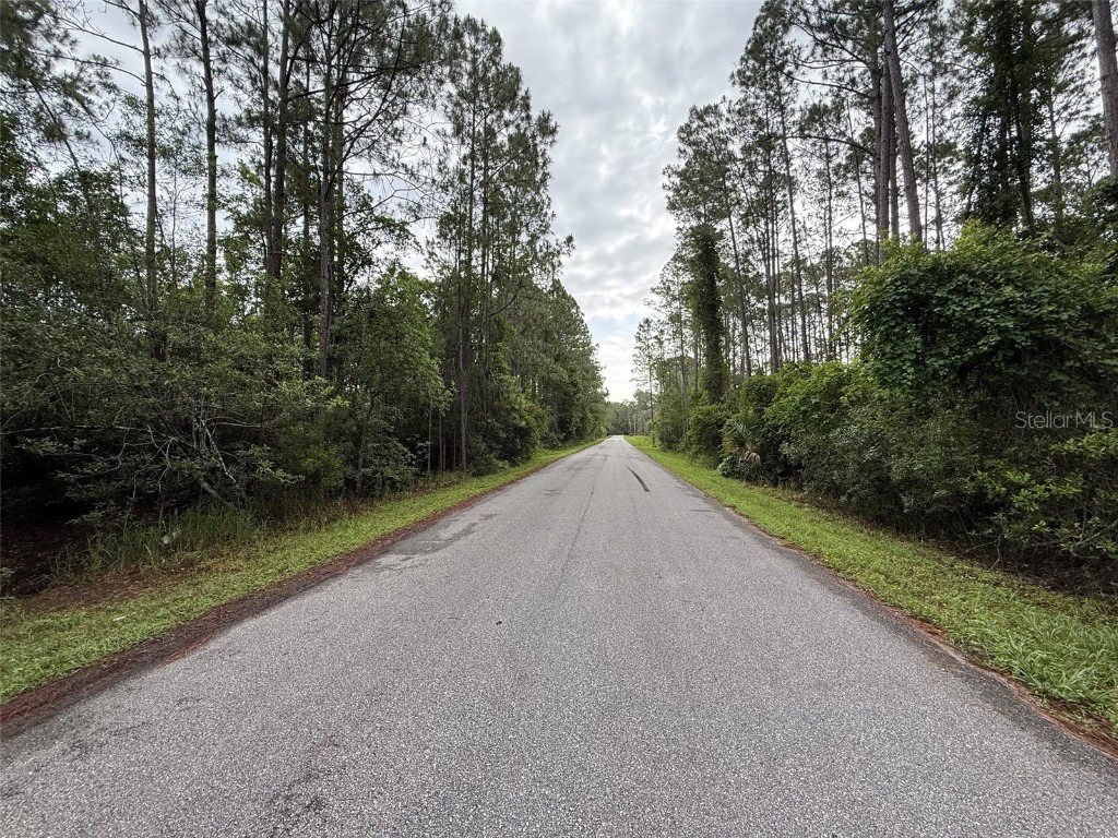 242 Lakeway Drive Georgetown FL 32139 OK225220 image4