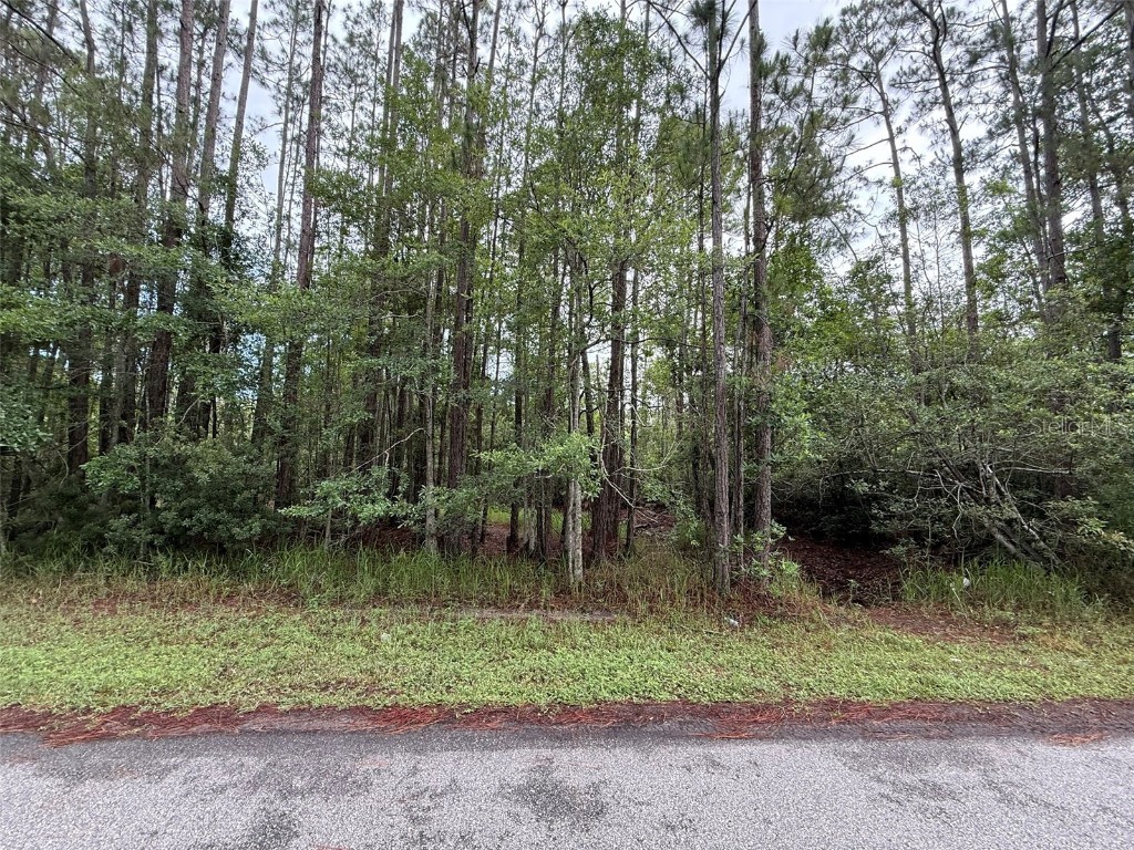 242 Lakeway Drive Georgetown FL 32139 OK225220 image6