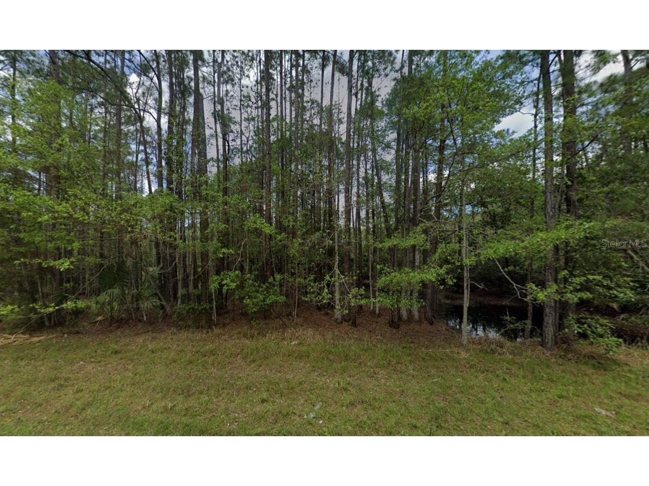 242 Lakeway Drive Georgetown FL 32139 OK225220 image7