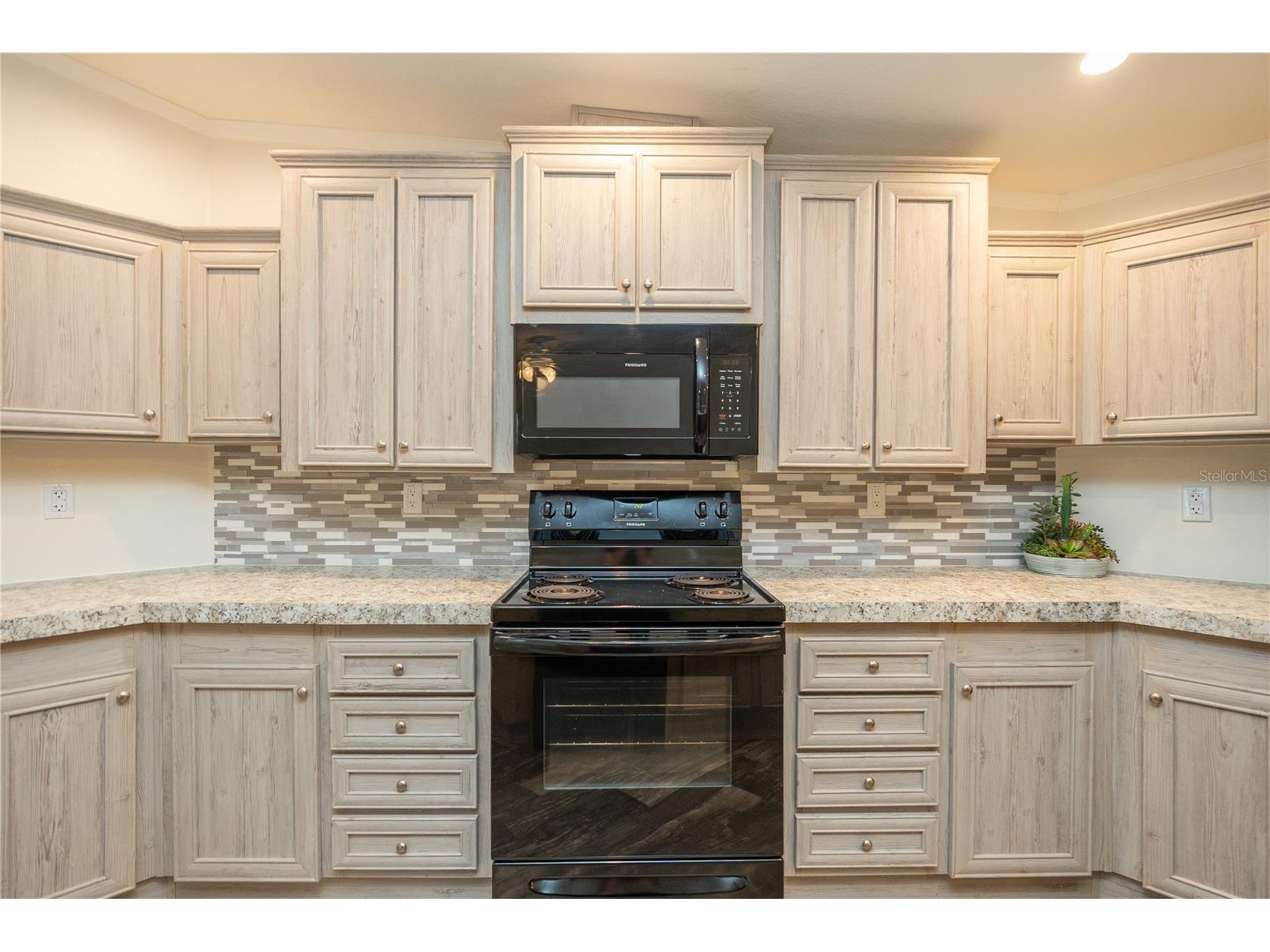 242 Skyline Drive Lady Lake FL 32159 R4911480 image10