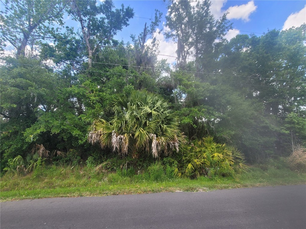 242 Toms Road Debary FL 32713 V4929391 image1
