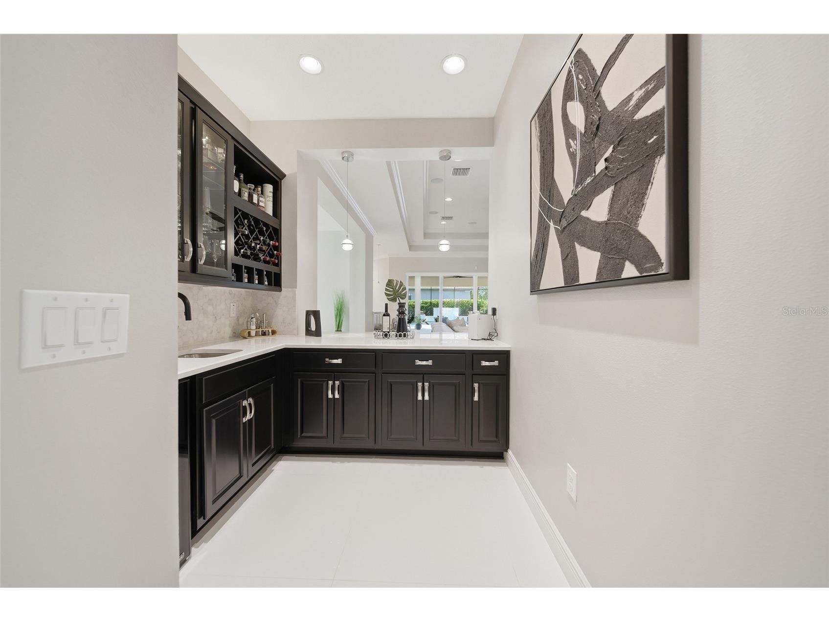 2420 Coco Palm Circle Wesley Chapel FL 33543 TB8497377 image18