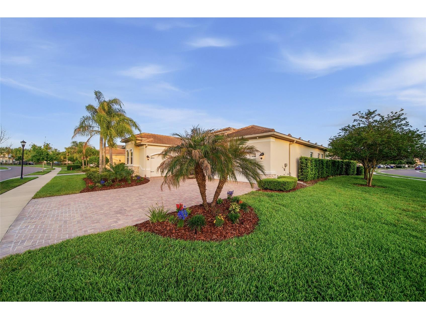2420 Coco Palm Circle Wesley Chapel FL 33543 TB8497377 image6