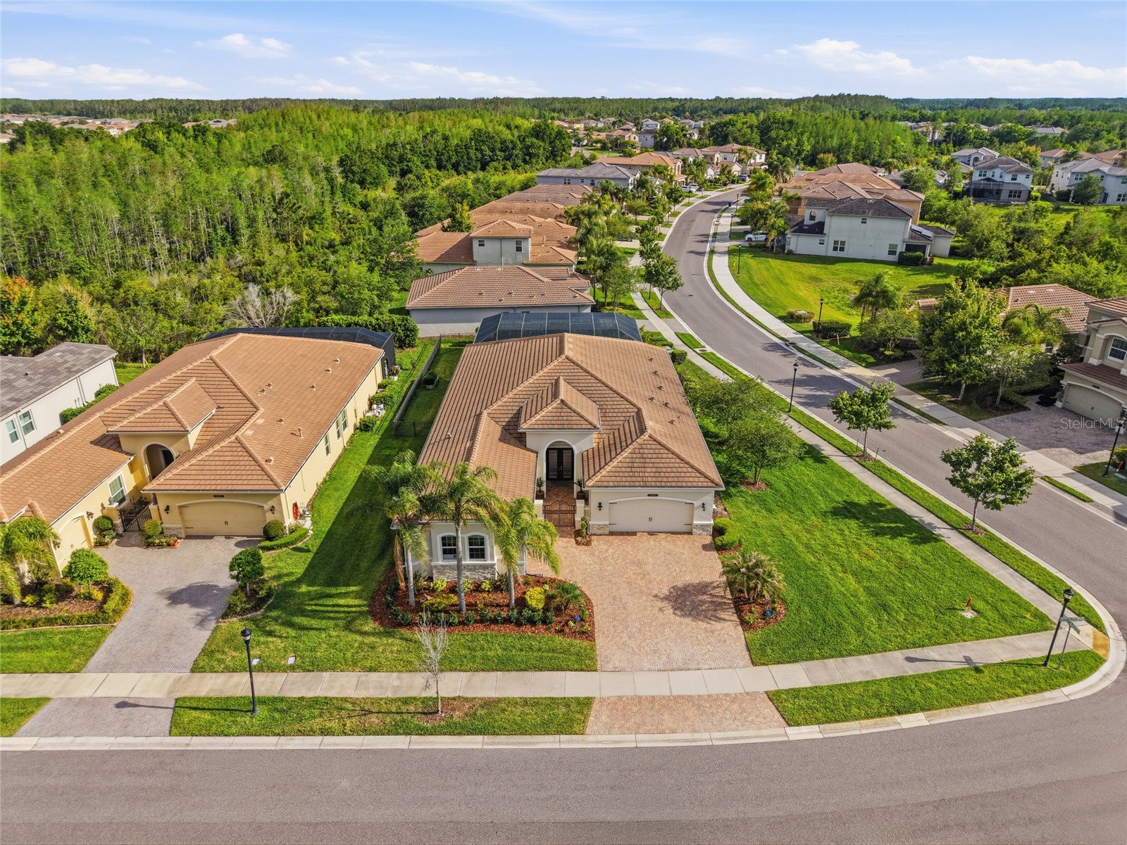 2420 Coco Palm Circle Wesley Chapel FL 33543 TB8497377 image74