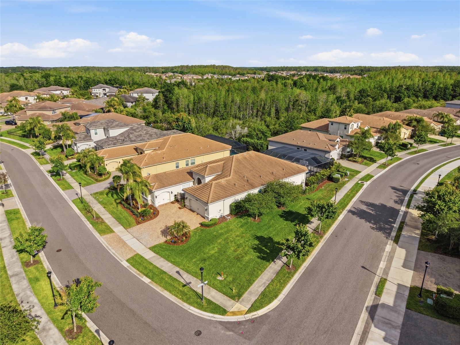 2420 Coco Palm Circle Wesley Chapel FL 33543 TB8497377 image76
