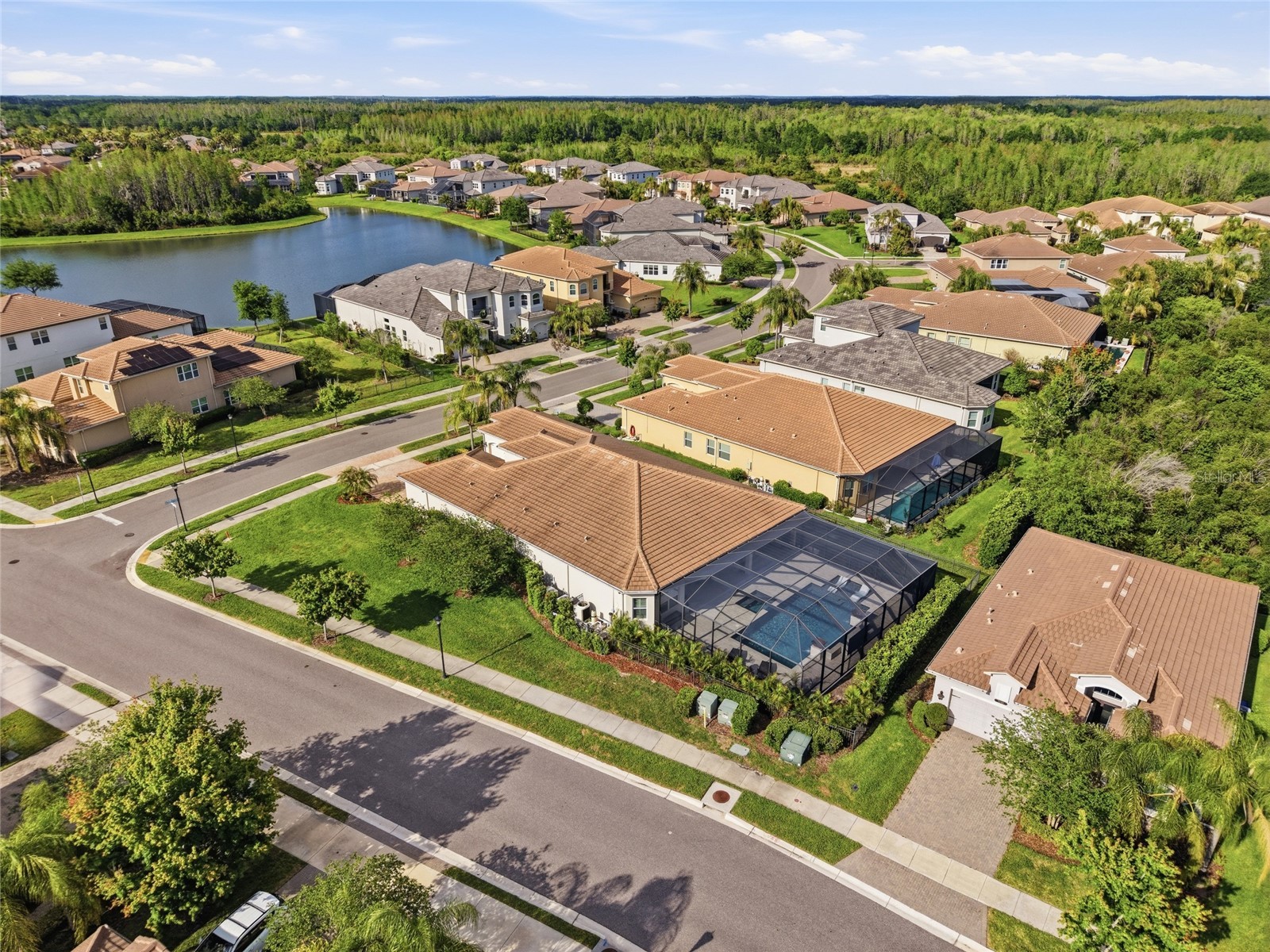 2420 Coco Palm Circle Wesley Chapel FL 33543 TB8497377 image77