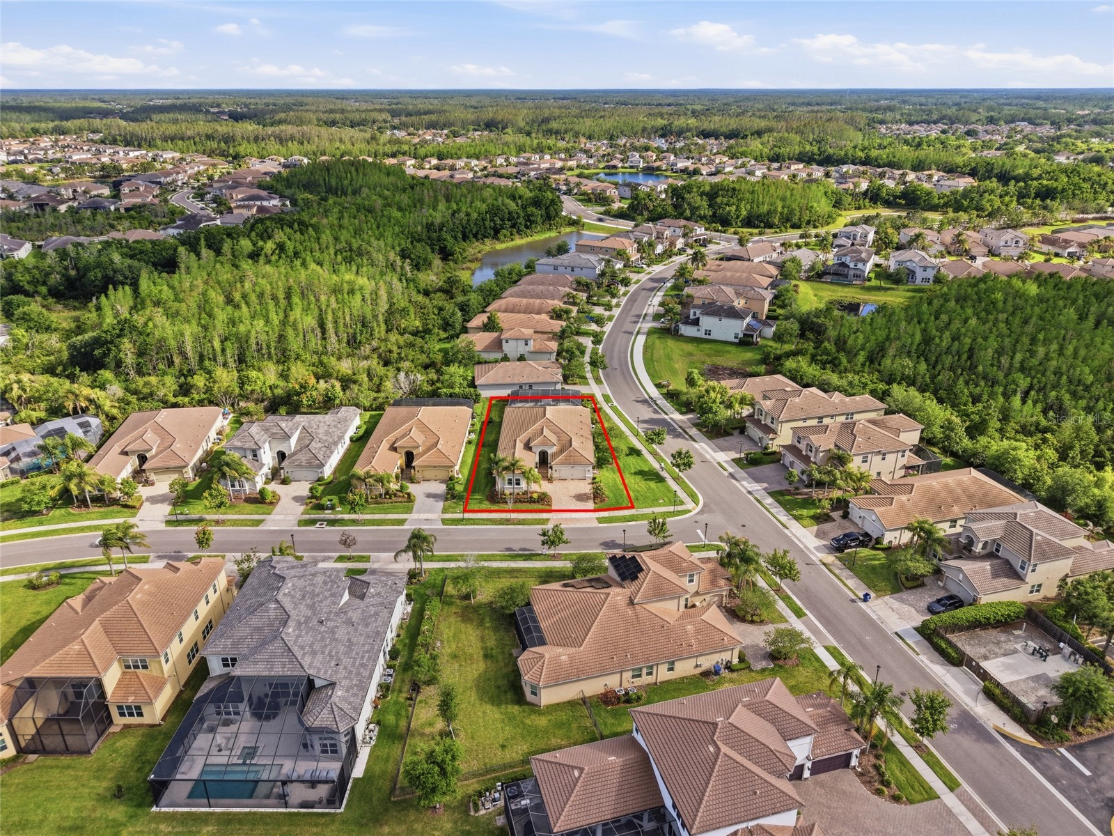 2420 Coco Palm Circle Wesley Chapel FL 33543 TB8497377 image78
