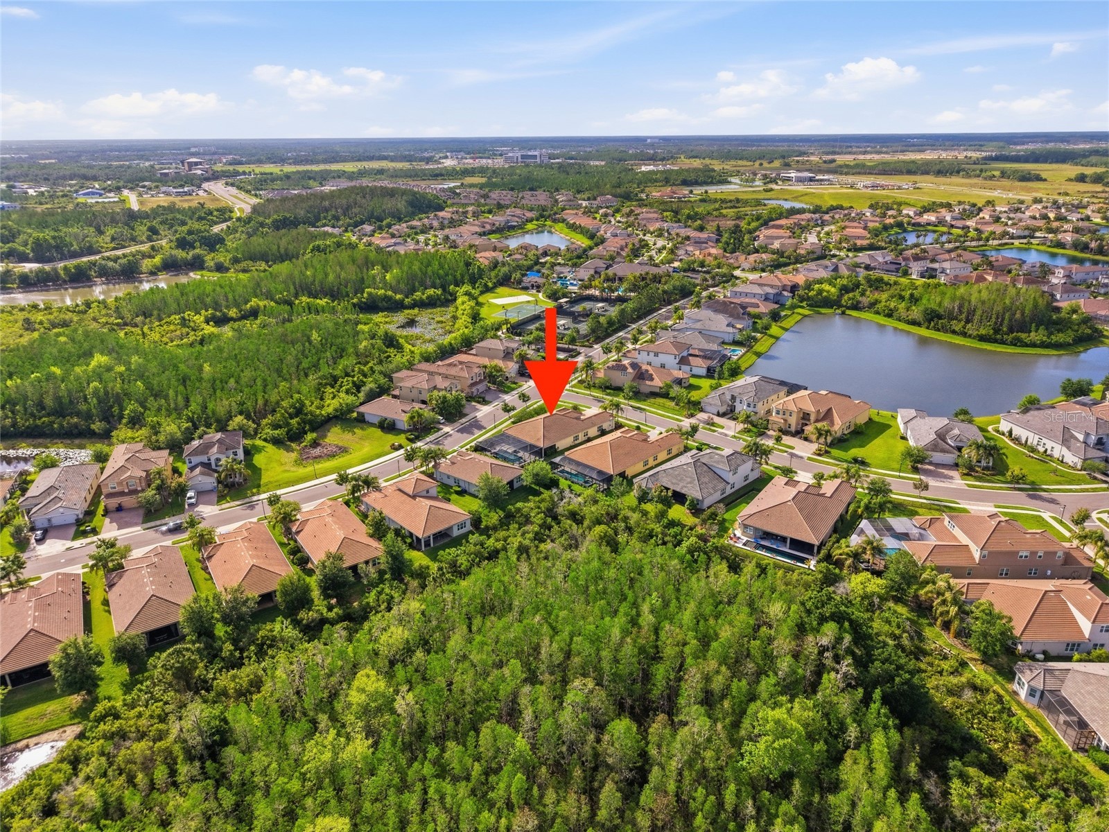2420 Coco Palm Circle Wesley Chapel FL 33543 TB8497377 image79