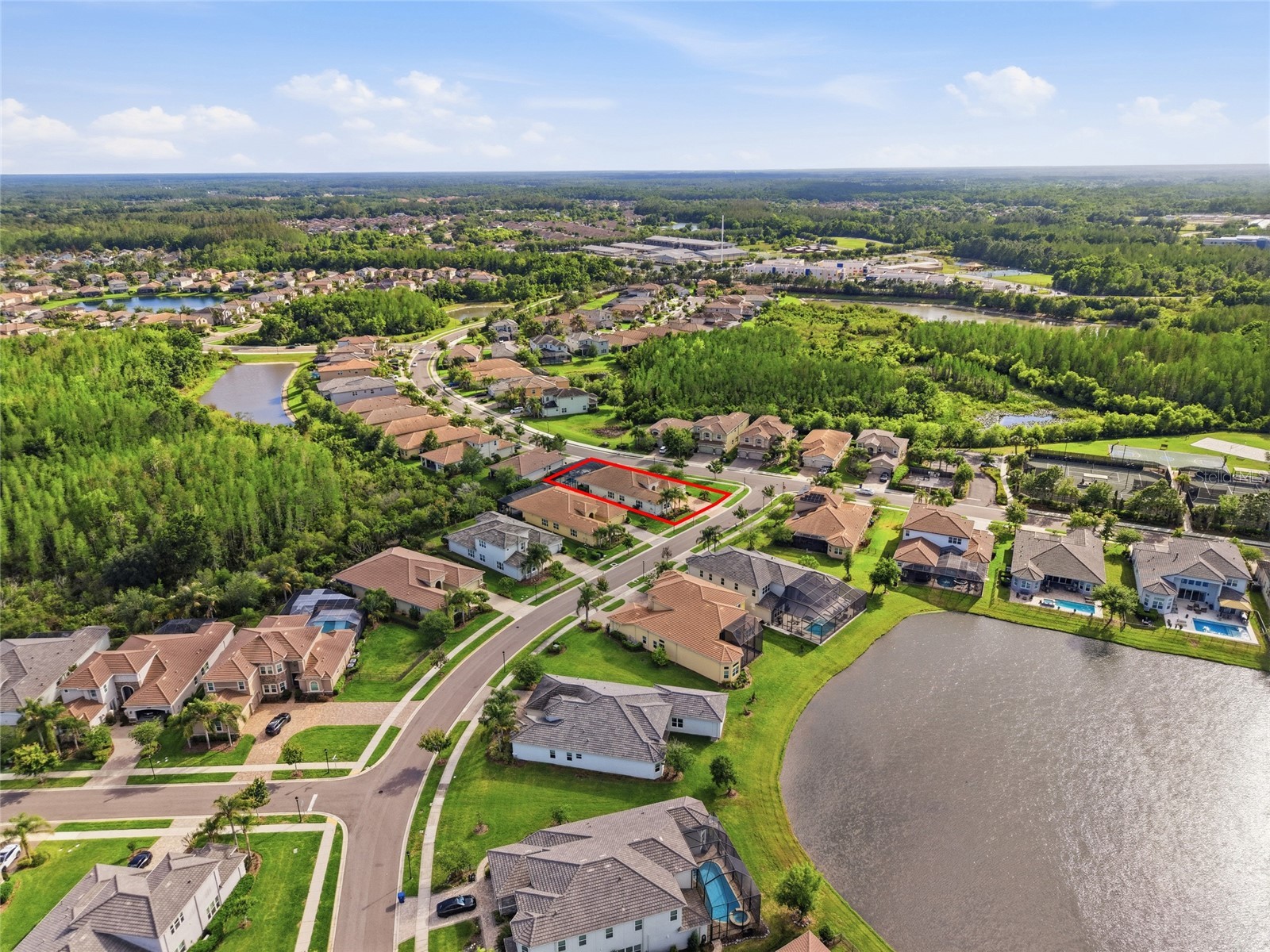 2420 Coco Palm Circle Wesley Chapel FL 33543 TB8497377 image80