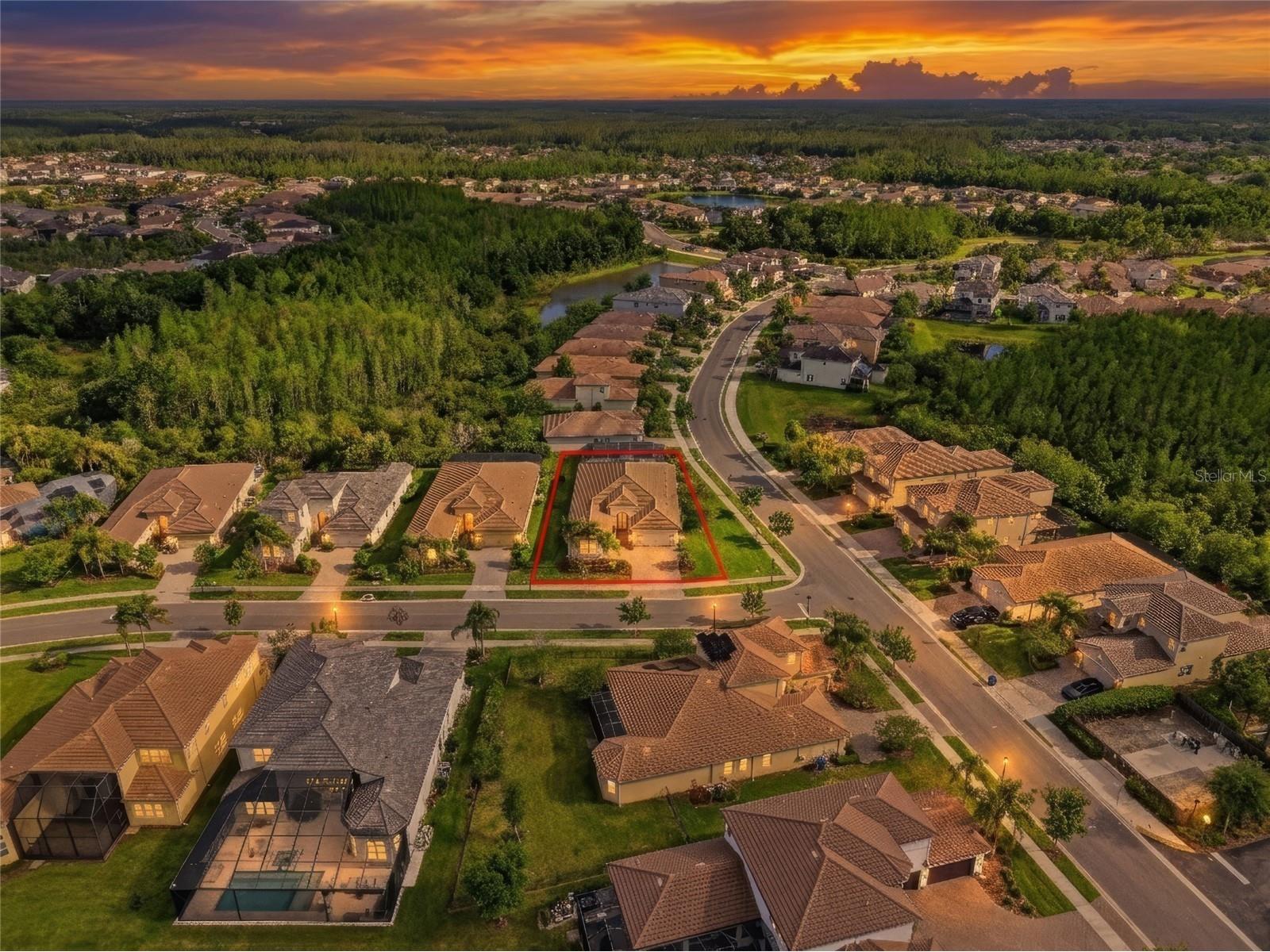 2420 Coco Palm Circle Wesley Chapel FL 33543 TB8497377 image82