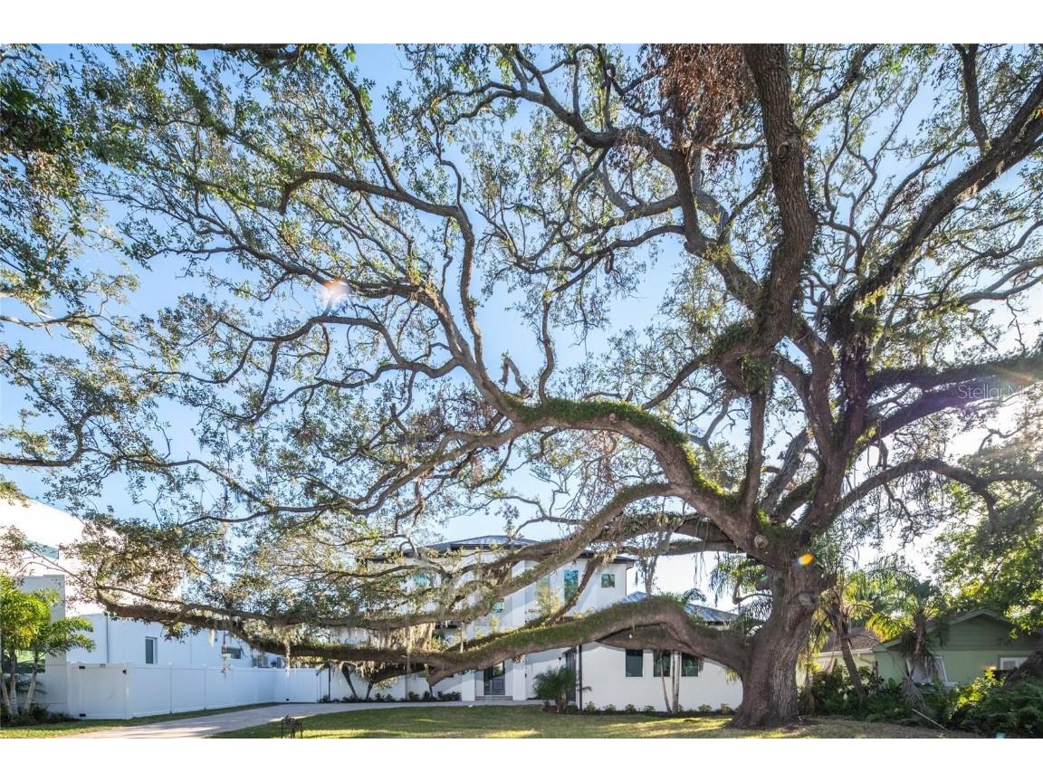 2420 Floyd Street Sarasota FL 34239 A4672642 image7