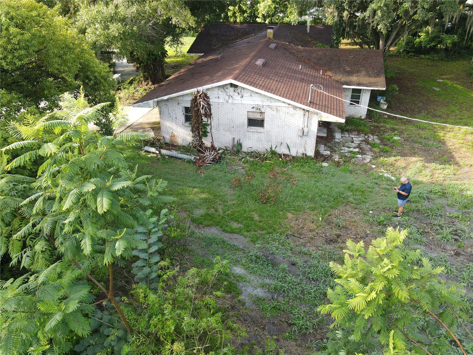 2420 Nelson Street Auburndale FL 33823 L4963177 image9