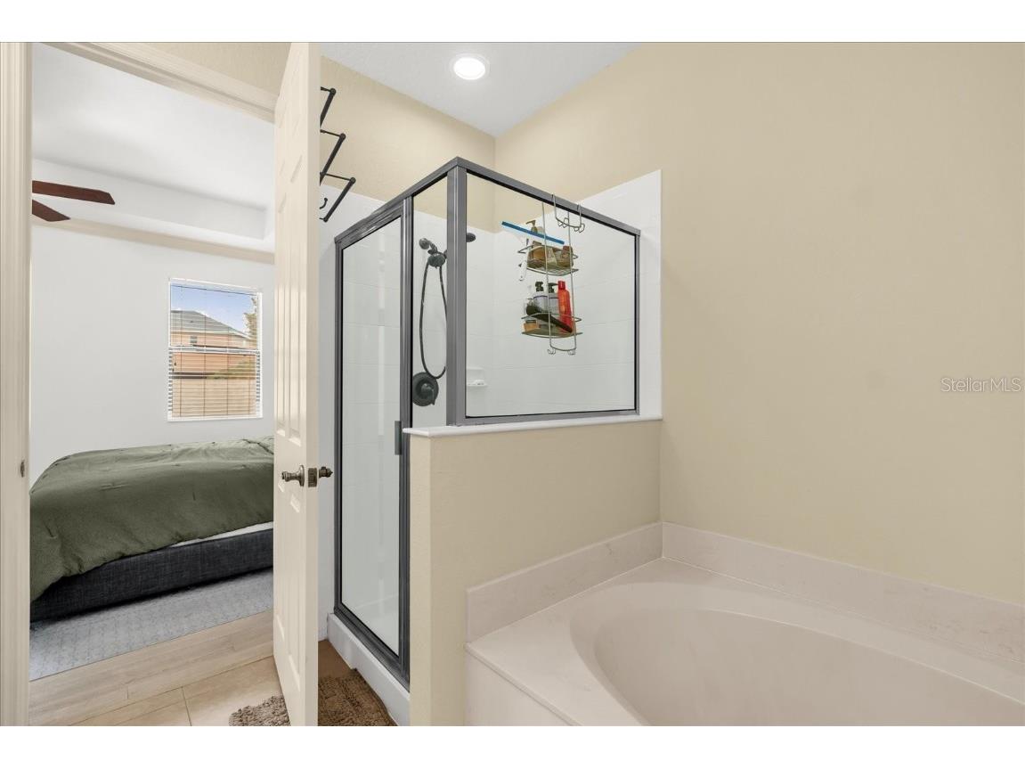 2420 Painter Lane Kissimmee FL 34741 O6365818 image22