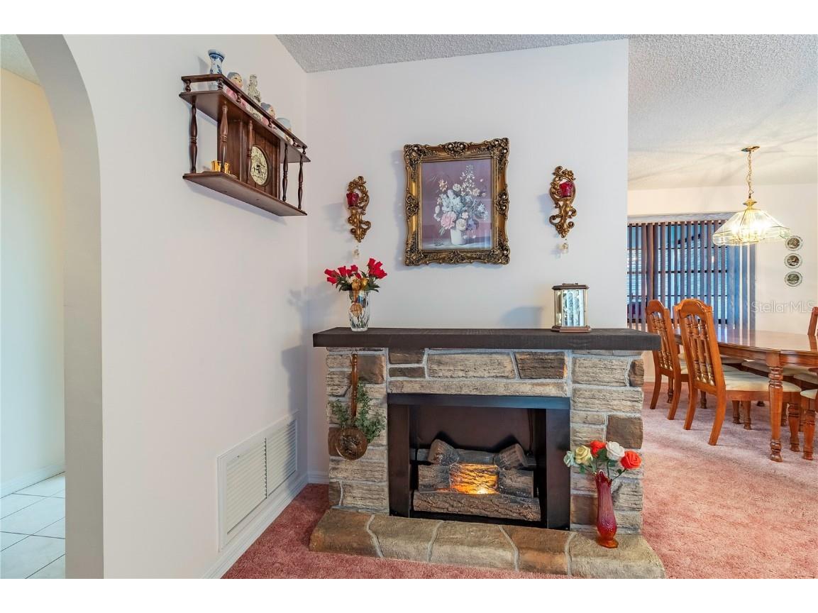 2420 Pine Tree Circle Drive Orange City FL 32763 V4945834 image11