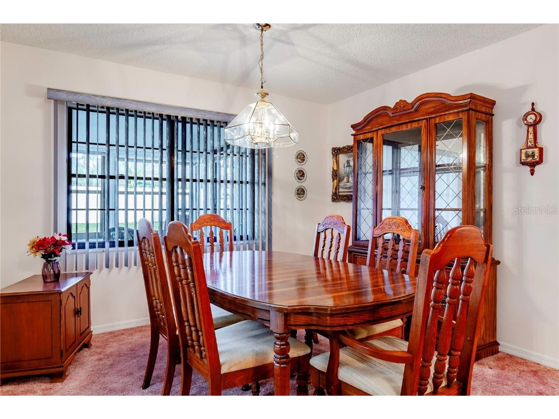 2420 Pine Tree Circle Drive Orange City FL 32763 V4945834 image16