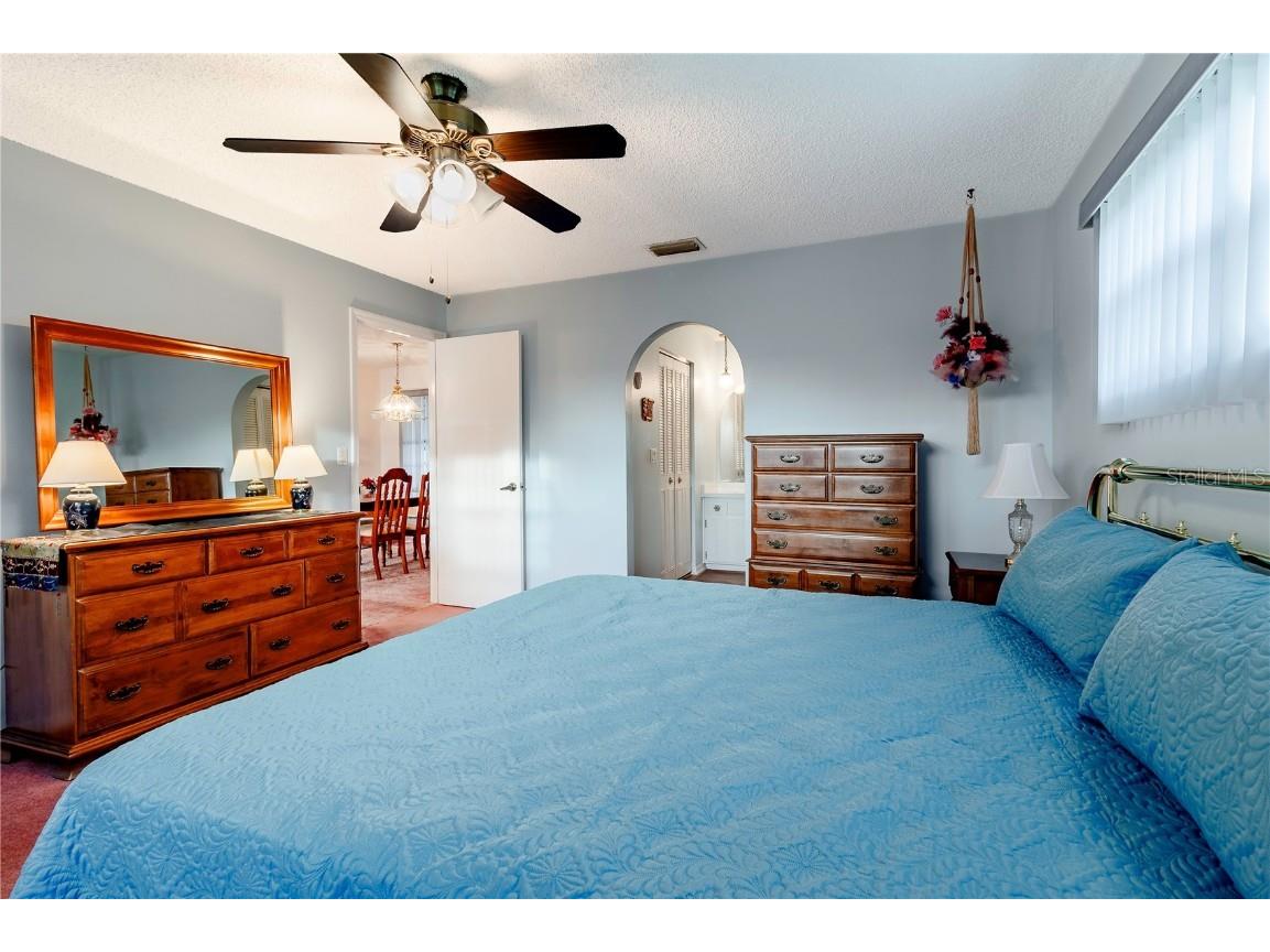 2420 Pine Tree Circle Drive Orange City FL 32763 V4945834 image18