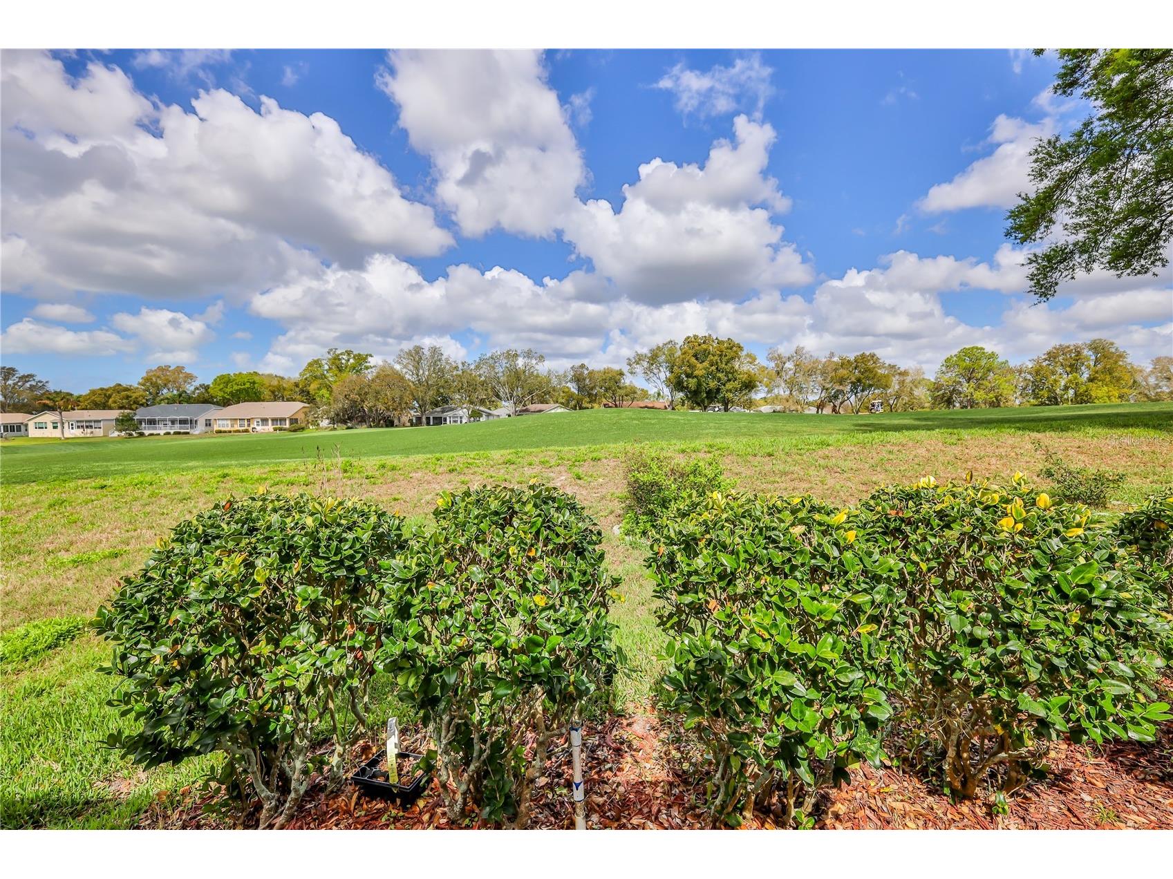 2420 Rolling View Drive Spring Hill FL 34606 TB8489068 image29