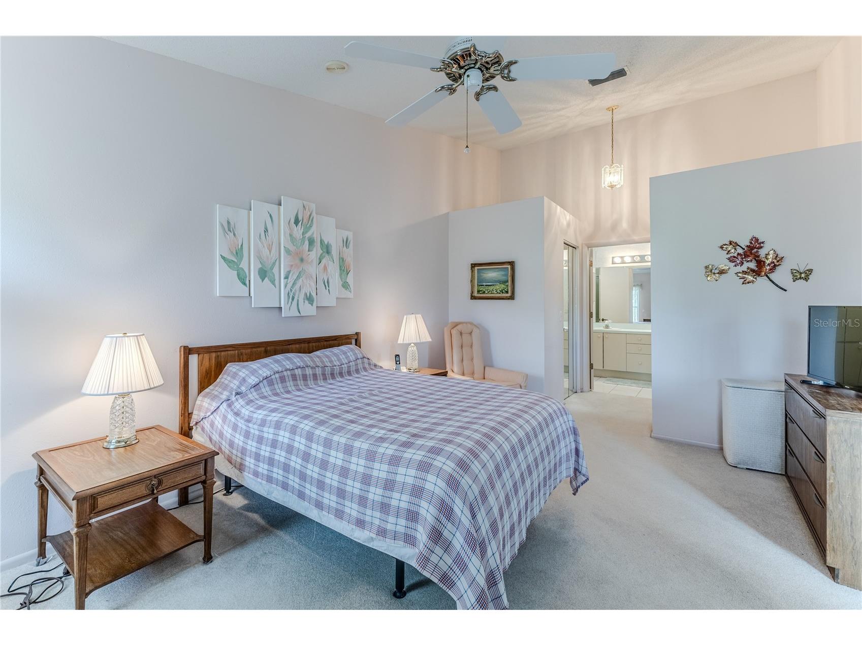 2420 Rolling View Drive Spring Hill FL 34606 TB8489068 image36
