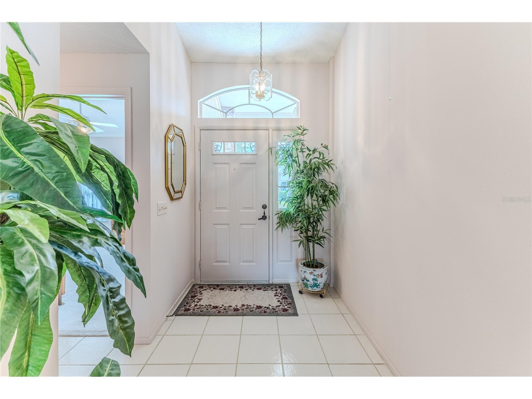 2420 Rolling View Drive Spring Hill FL 34606 TB8489068 image5