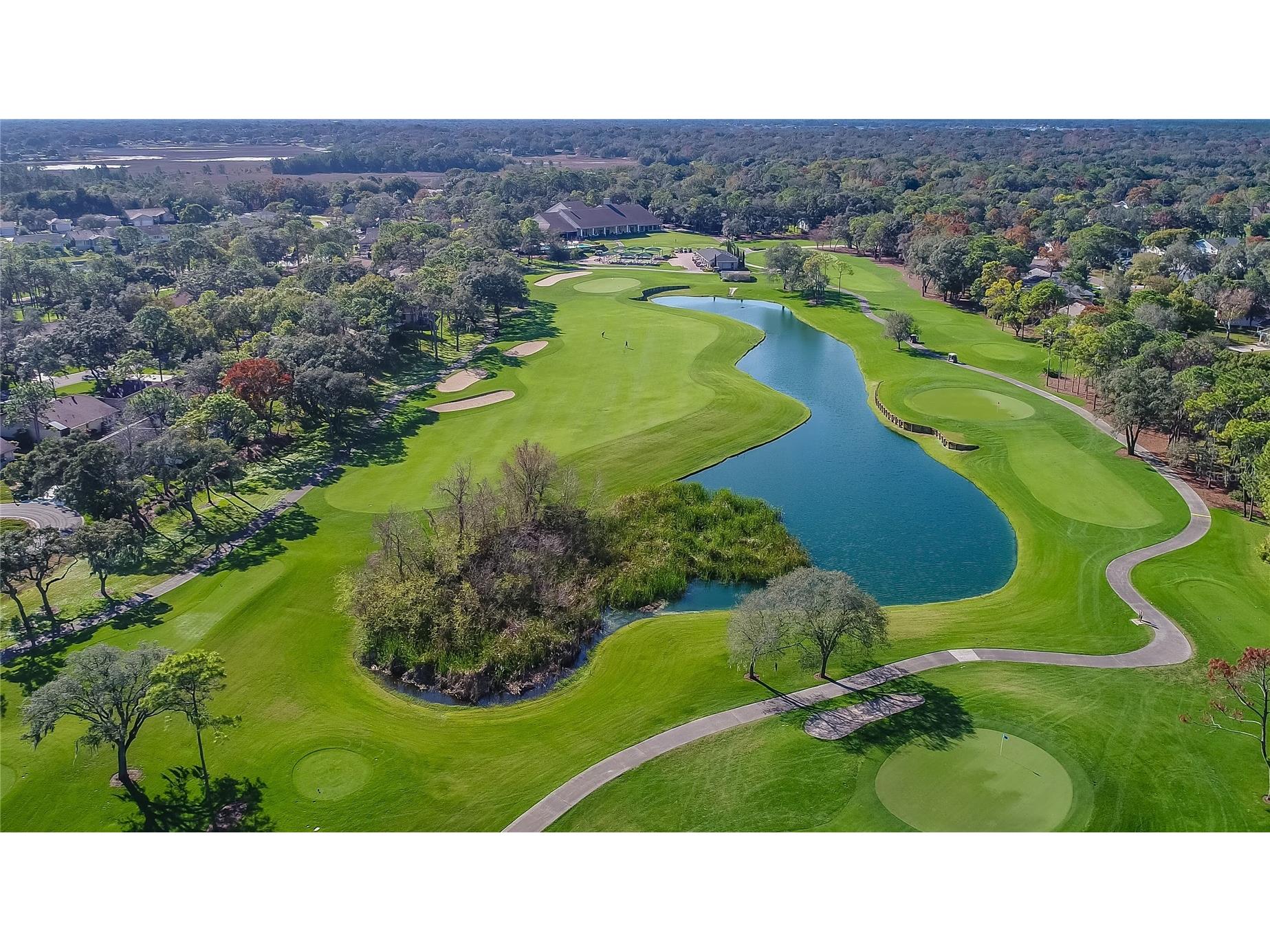 2420 Rolling View Drive Spring Hill FL 34606 TB8489068 image52