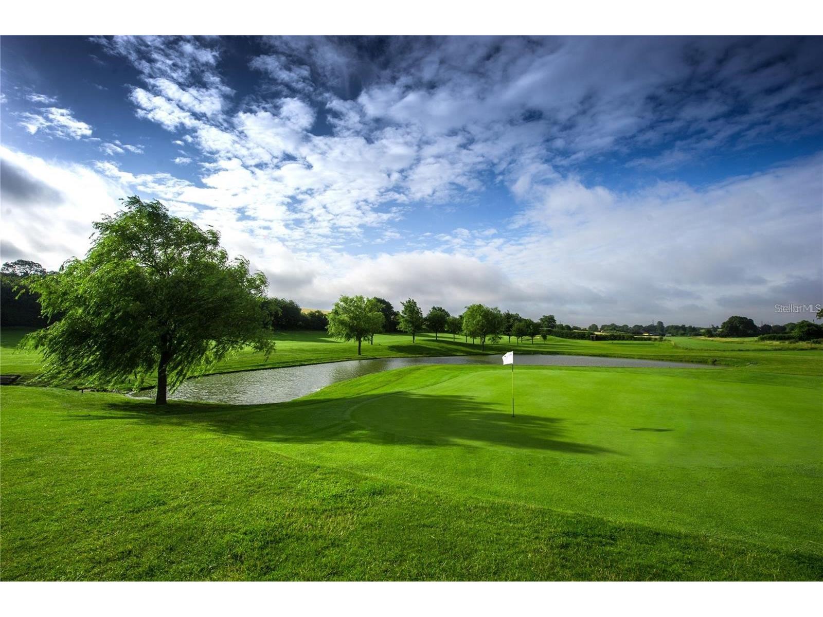 2420 Sifield Greens Way #2420 Sun City Center FL 33573 TB8495913 image69