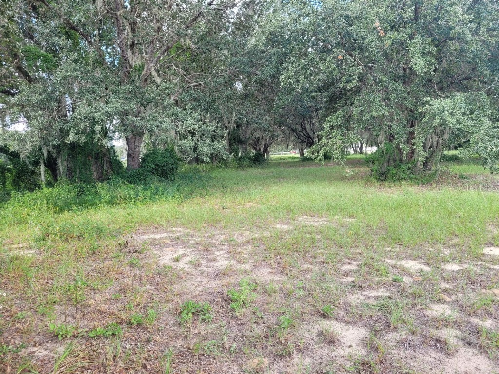 2420 Sloans Ridge Road Groveland FL 34736 J967931 image1