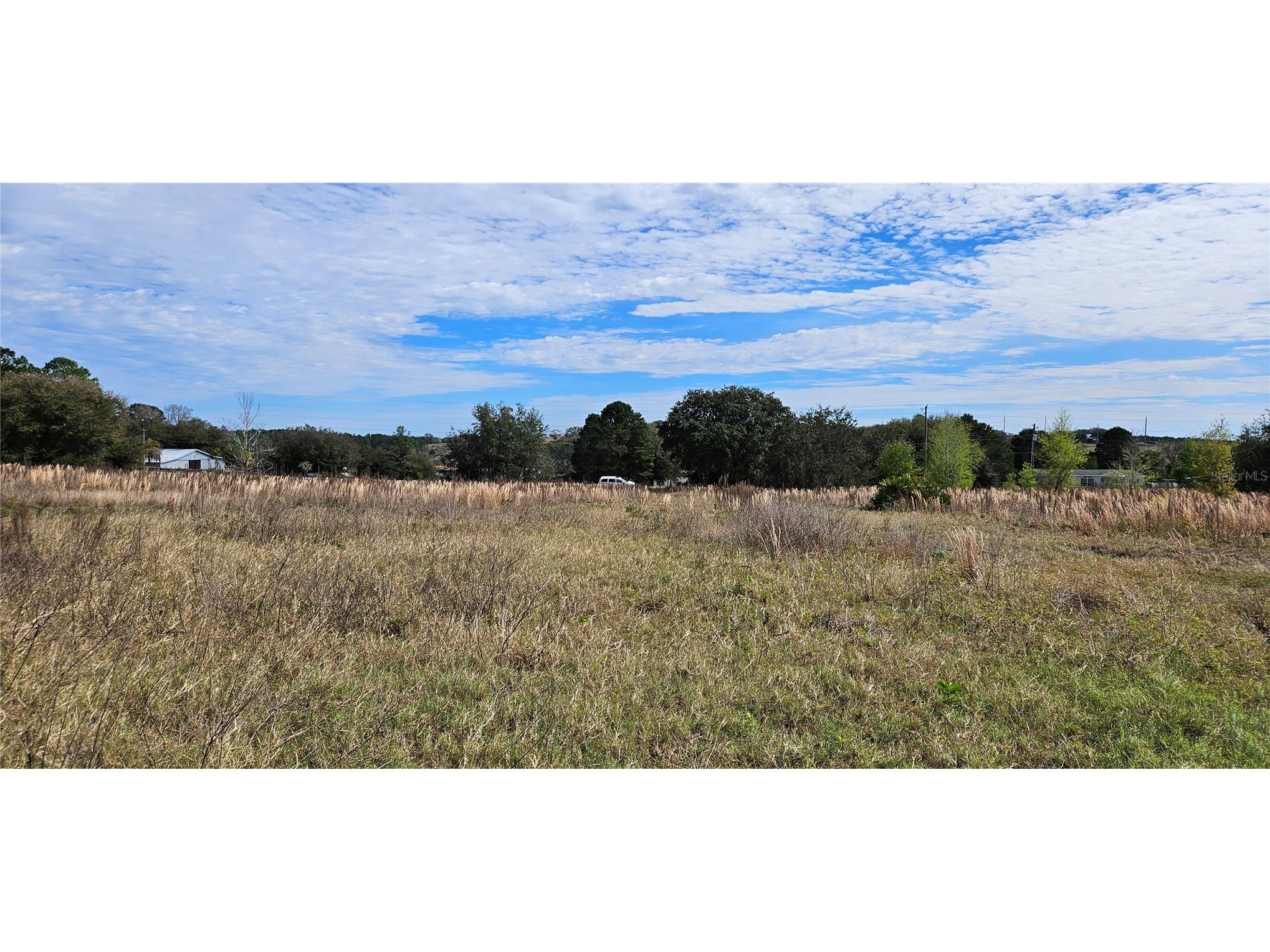 24207 Turkey Lake Road Howey In The Hills FL 34737 O6402645 image1