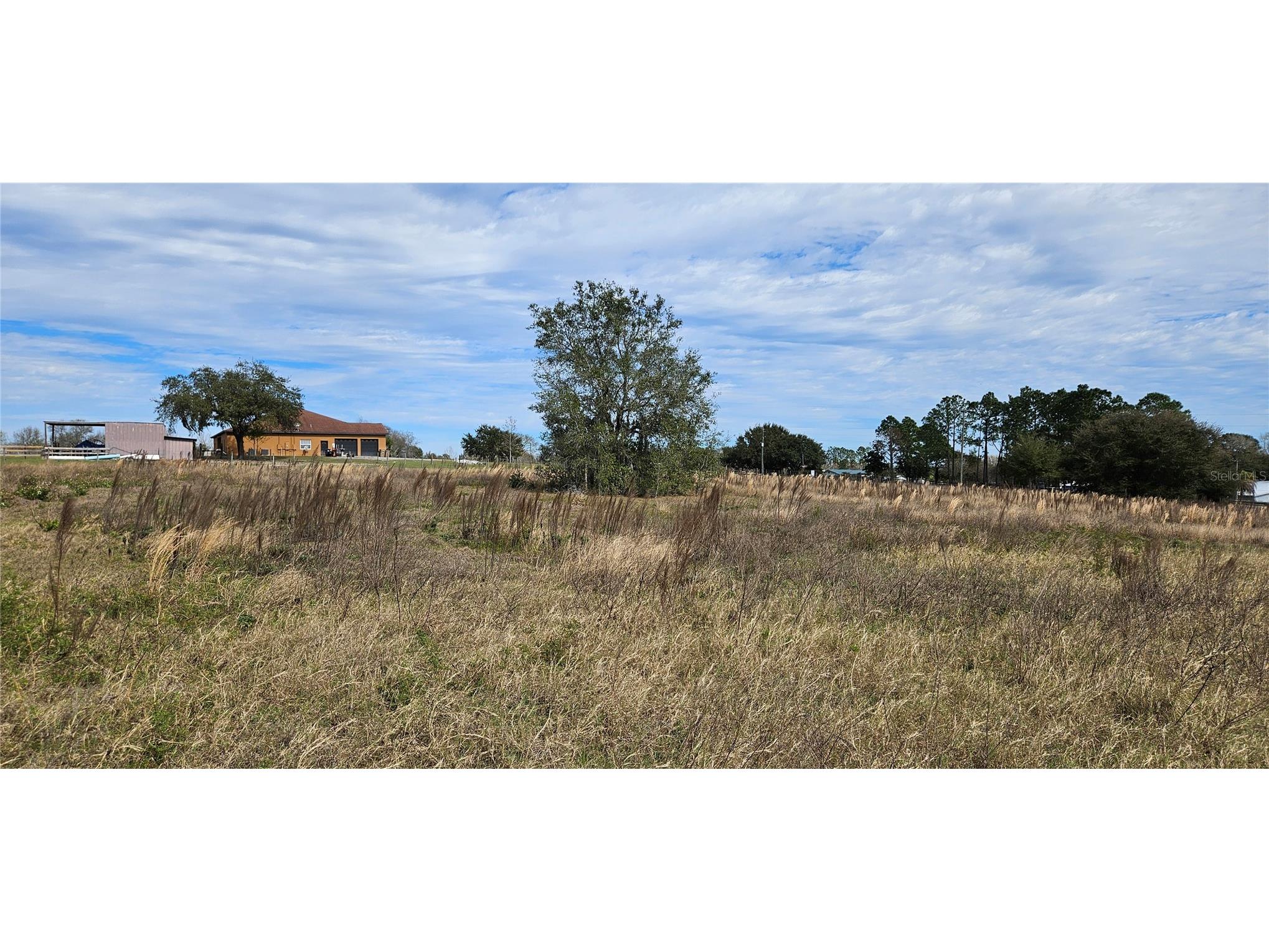 24207 Turkey Lake Road Howey In The Hills FL 34737 O6402645 image2