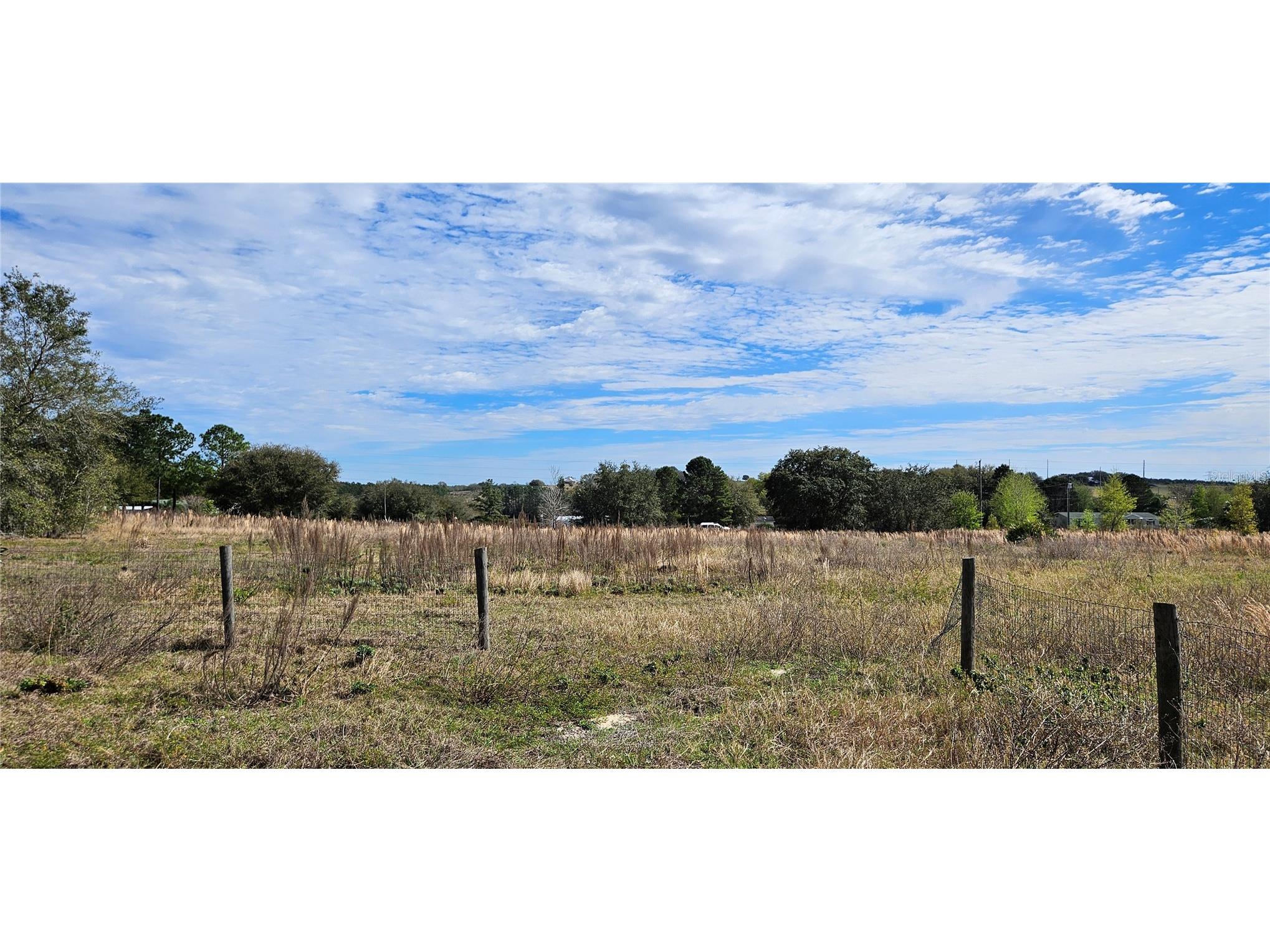 24207 Turkey Lake Road Howey In The Hills FL 34737 O6402645 image7