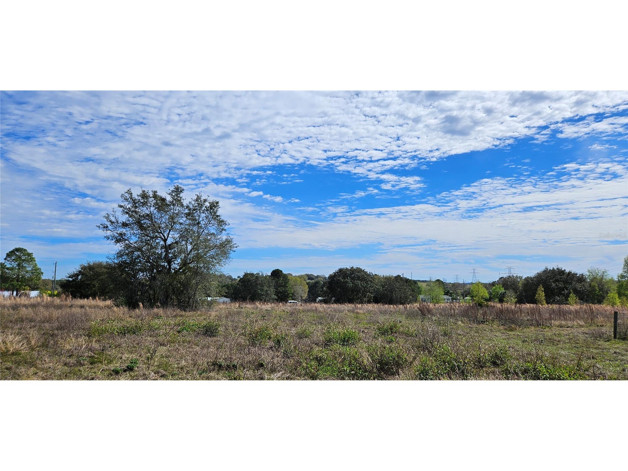 24207 Turkey Lake Road Howey In The Hills FL 34737 O6402645 image8