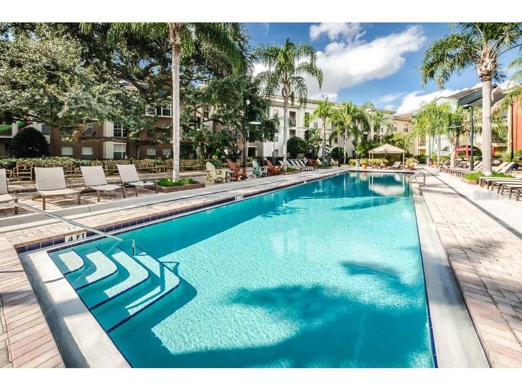 2421 W Horatio Street #818 Tampa FL 33609 TB8450981 image40