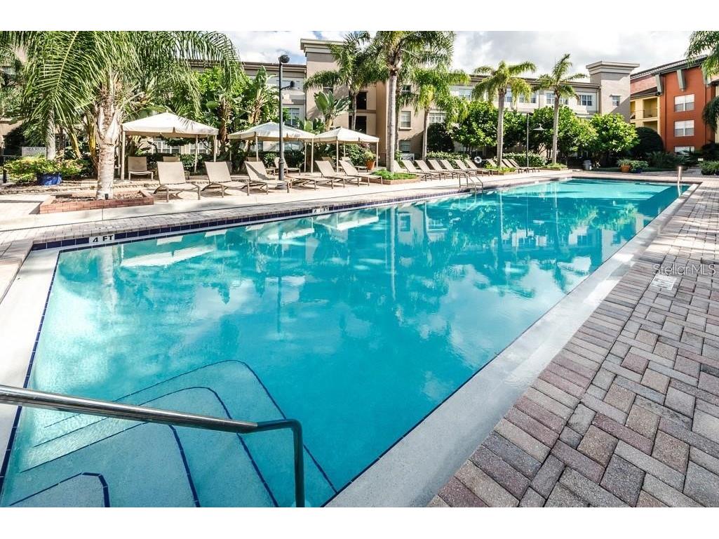 2421 W Horatio Street #818 Tampa FL 33609 TB8450981 image41