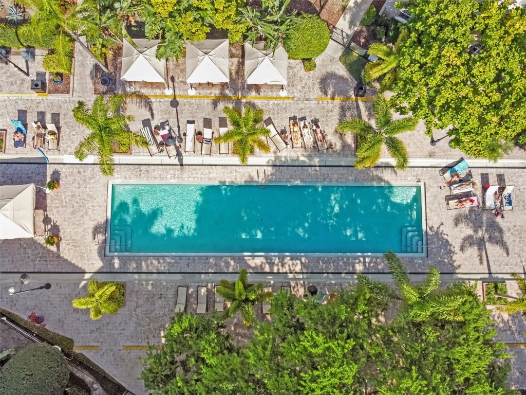 2421 W Horatio Street #818 Tampa FL 33609 TB8450981 image42