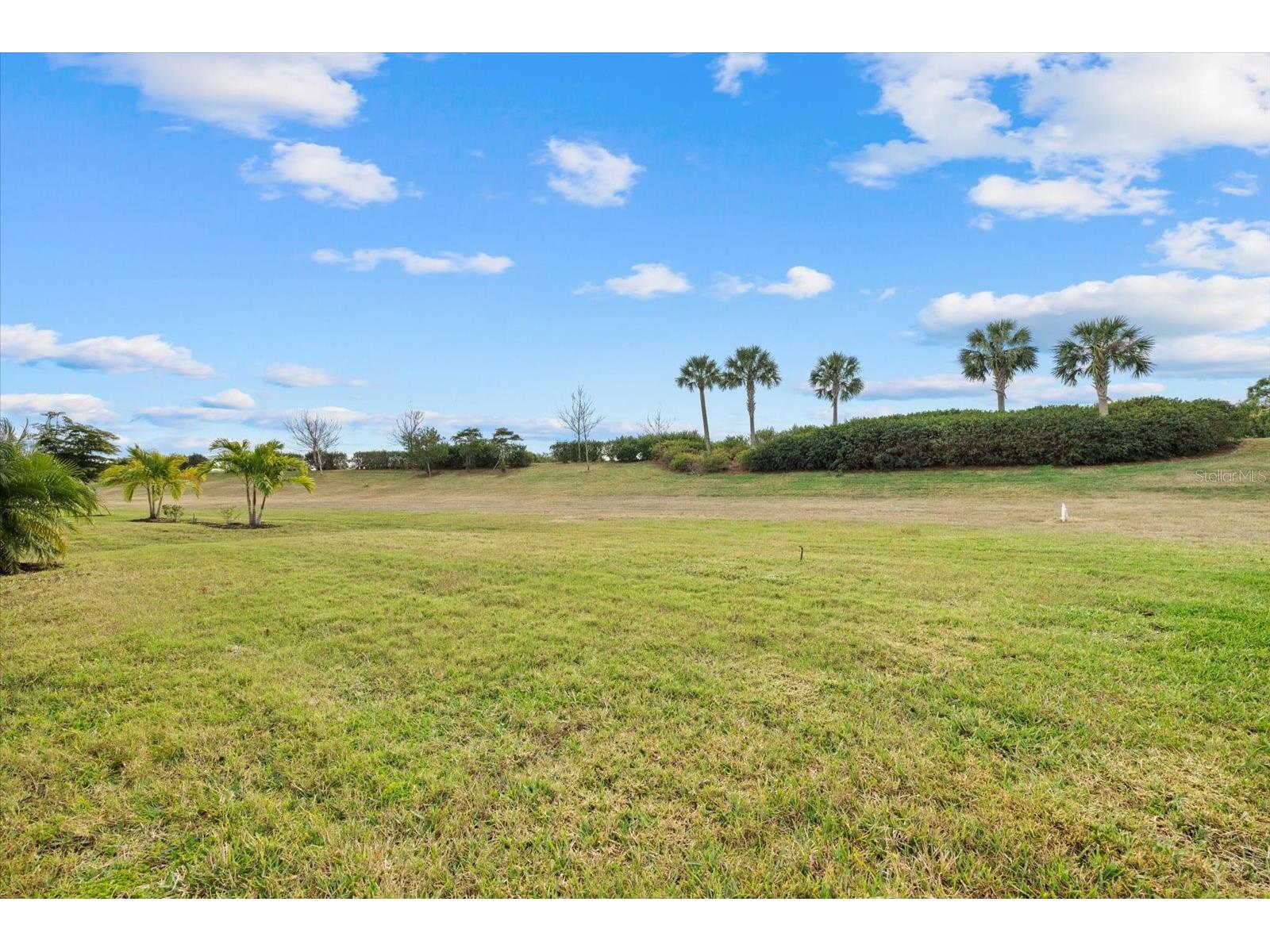 24213 Spartina Drive Venice FL 34293 N6142759 image25