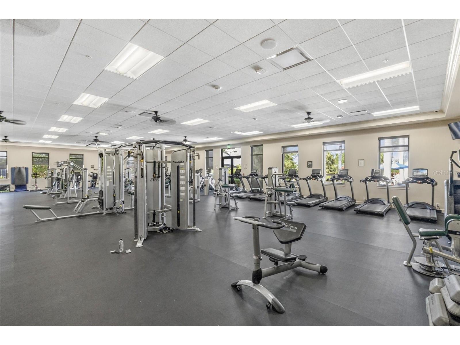 24213 Spartina Drive Venice FL 34293 N6142759 image41