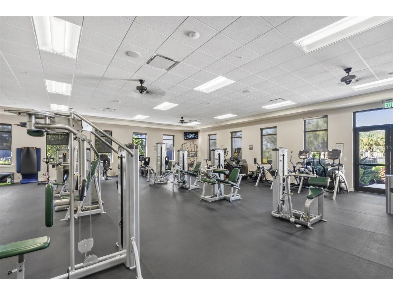 24213 Spartina Drive Venice FL 34293 N6142759 image43