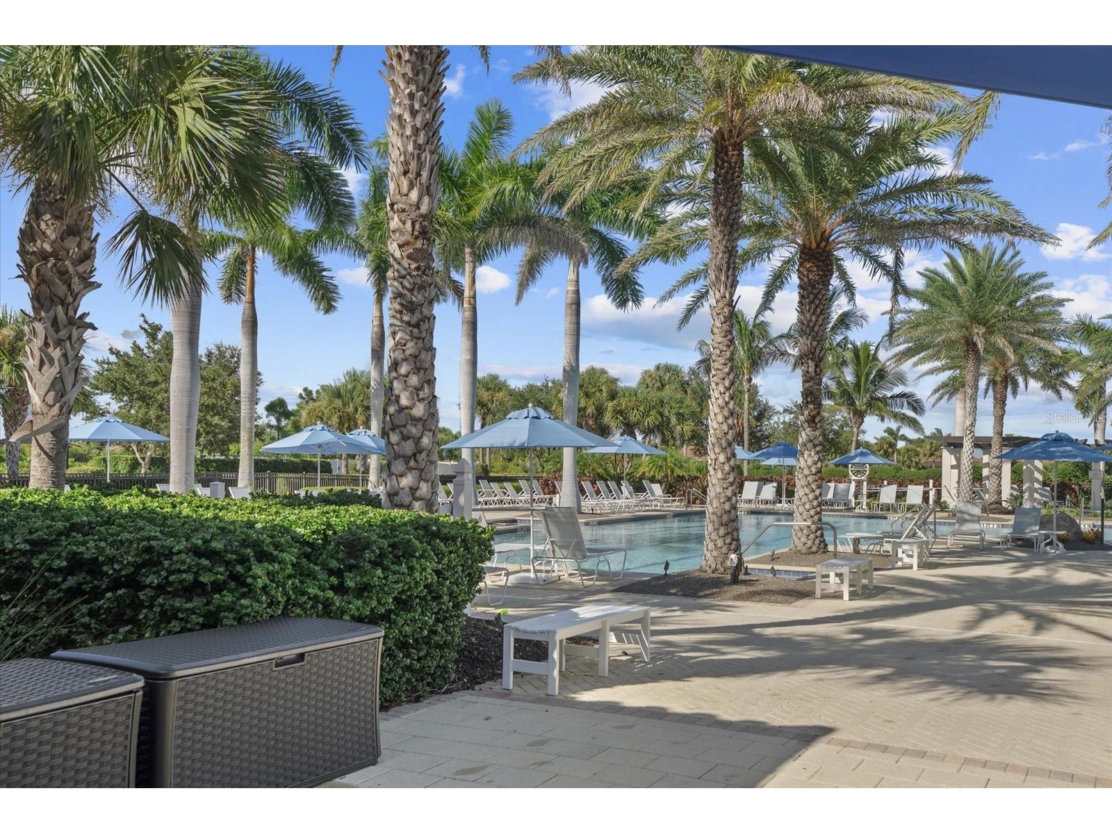 24213 Spartina Drive Venice FL 34293 N6142759 image47